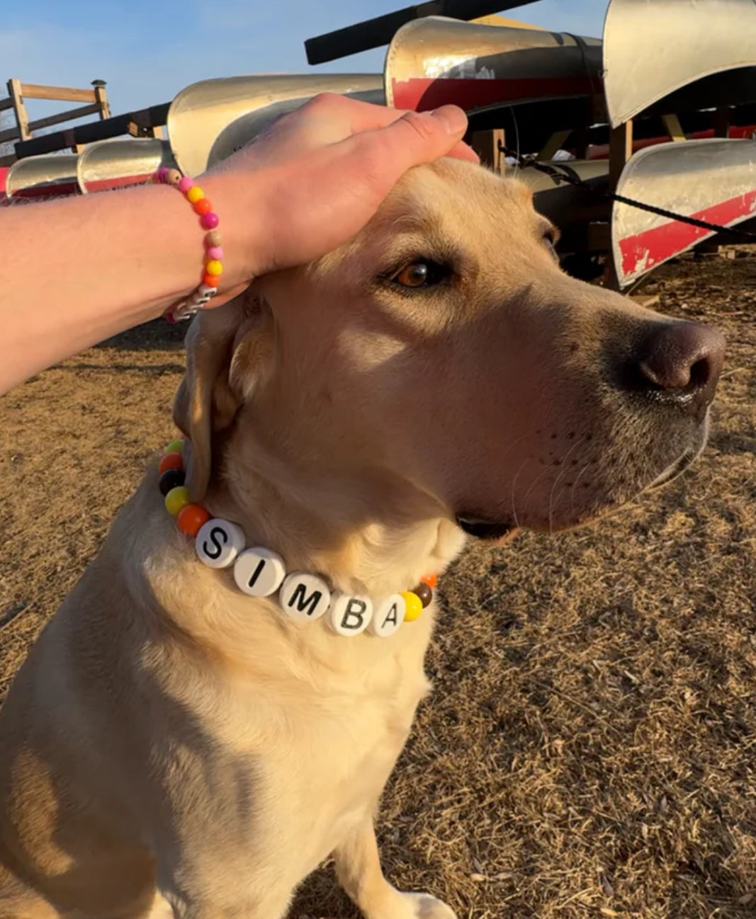 Friendship Collar and Bracelet ! Save a Dog πΆ