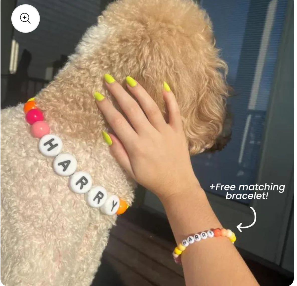 Friendship Collar and Bracelet ! Save a Dog 🐶