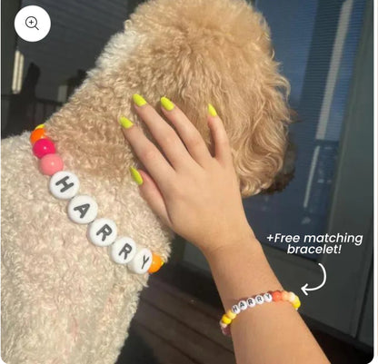 Friendship Collar and Bracelet ! Save a Dog 🐶