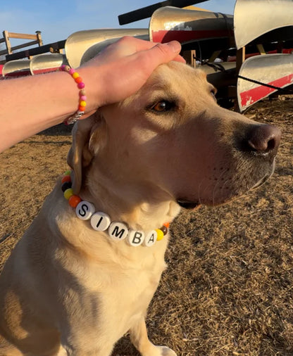 Friendship Collar and Bracelet ! Save a Dog 🐶